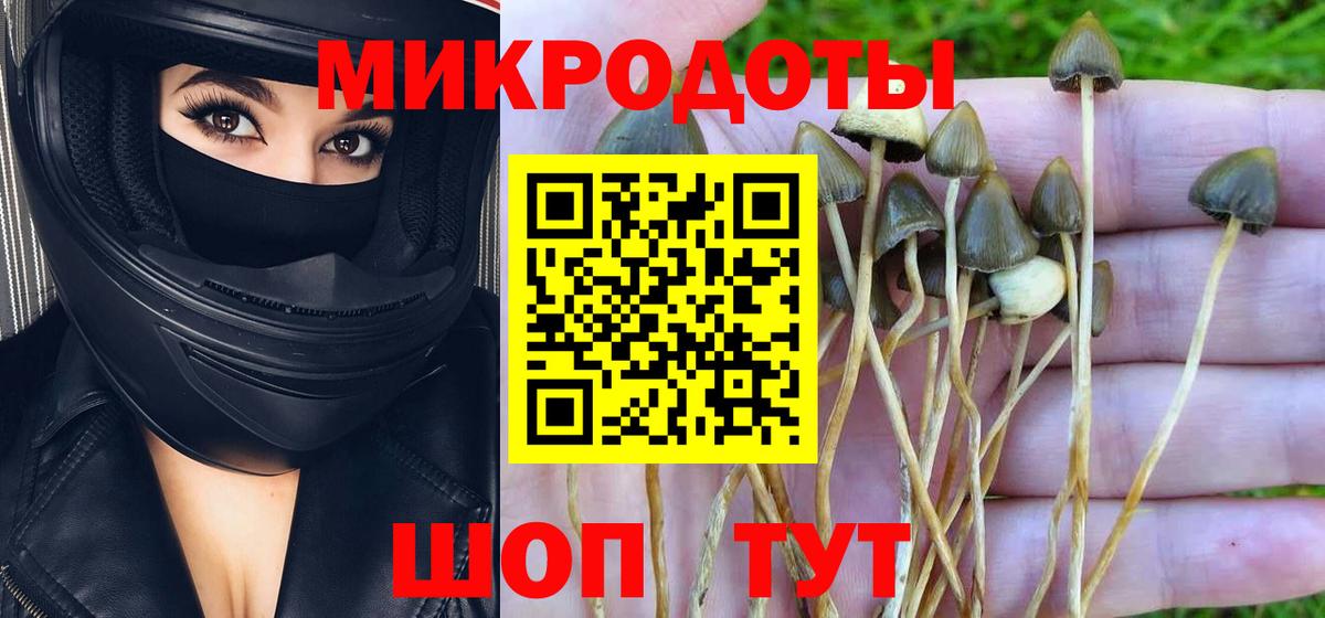 Галлюциногенные грибы MAGIC MUSHROOMS  Вход с VPN  Псилоцибиновые грибы Magic Shrooms  Балтийск 