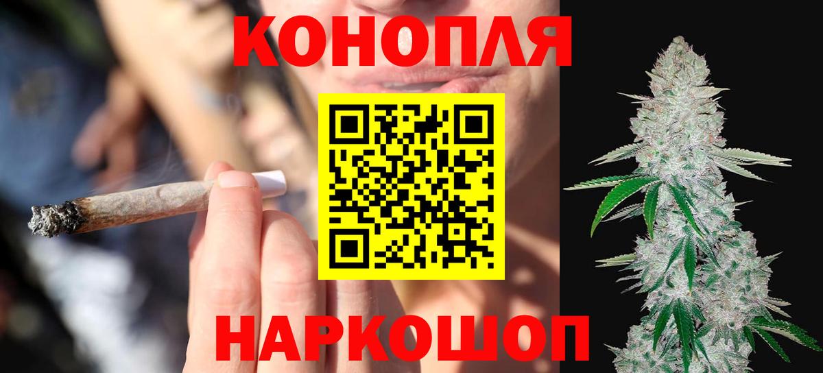 Шишки марихуана OG Kush Балтийск
